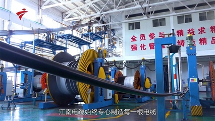 創新引領,綠色先行:江南電纜賦能深中通道新篇章